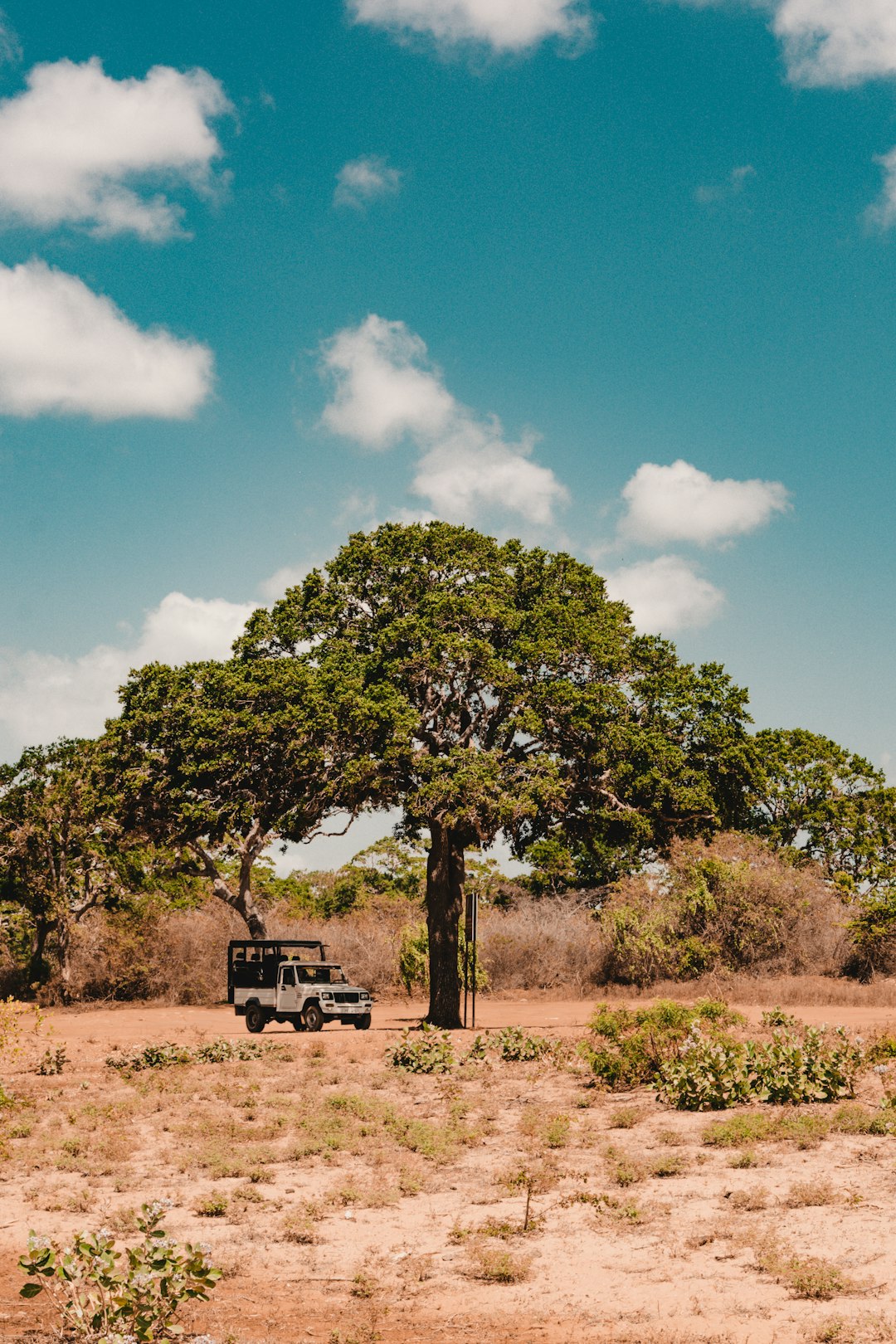vehicle-parked-near-tree-c33fdqxhkxe